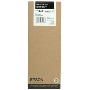 Epson Photo Black UltraChrome Ink Cartridge 220 ml - T544100