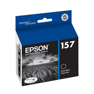 Epson R3000 Photo Black Ink Cartridge - T157120
