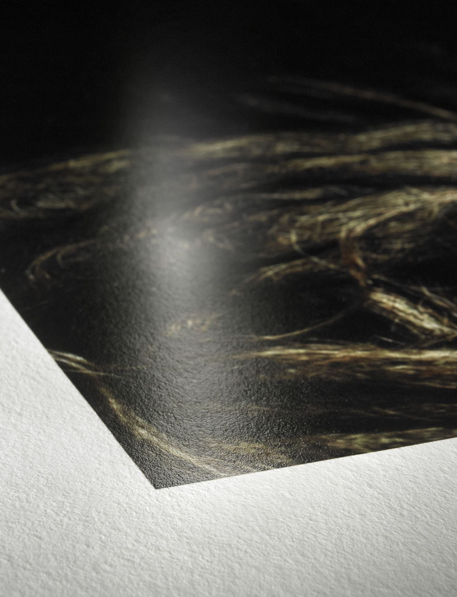 A close-up of a glossy photograph showing brown and blonde hair details, laid on textured Hahnemuhle Photo Rag® Baryta fine art cotton paper.