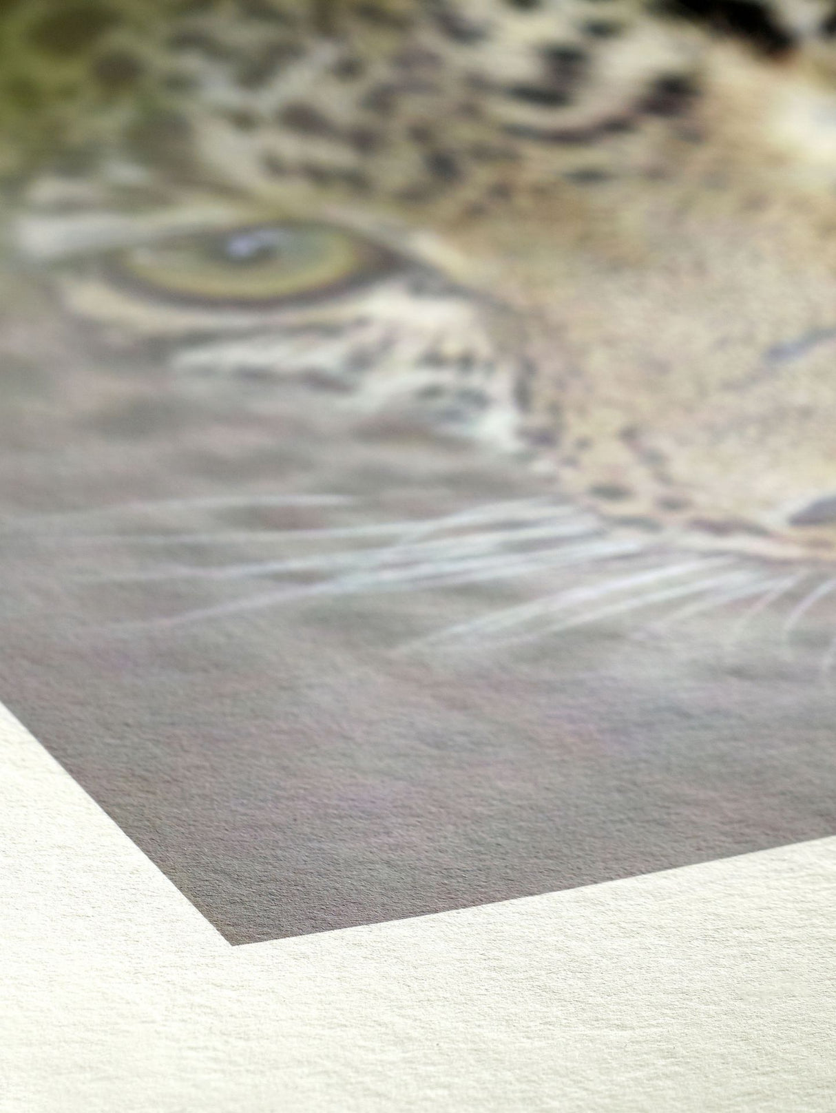 Hahnemühle Bamboo 290 gsm