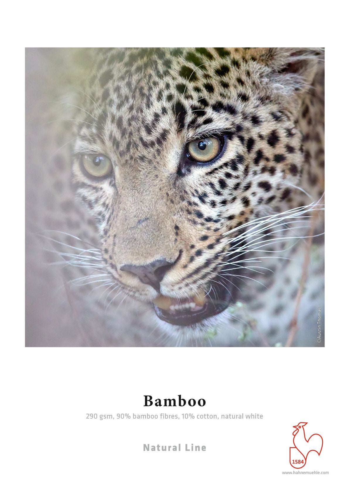 Hahnemühle Bamboo 290 gsm