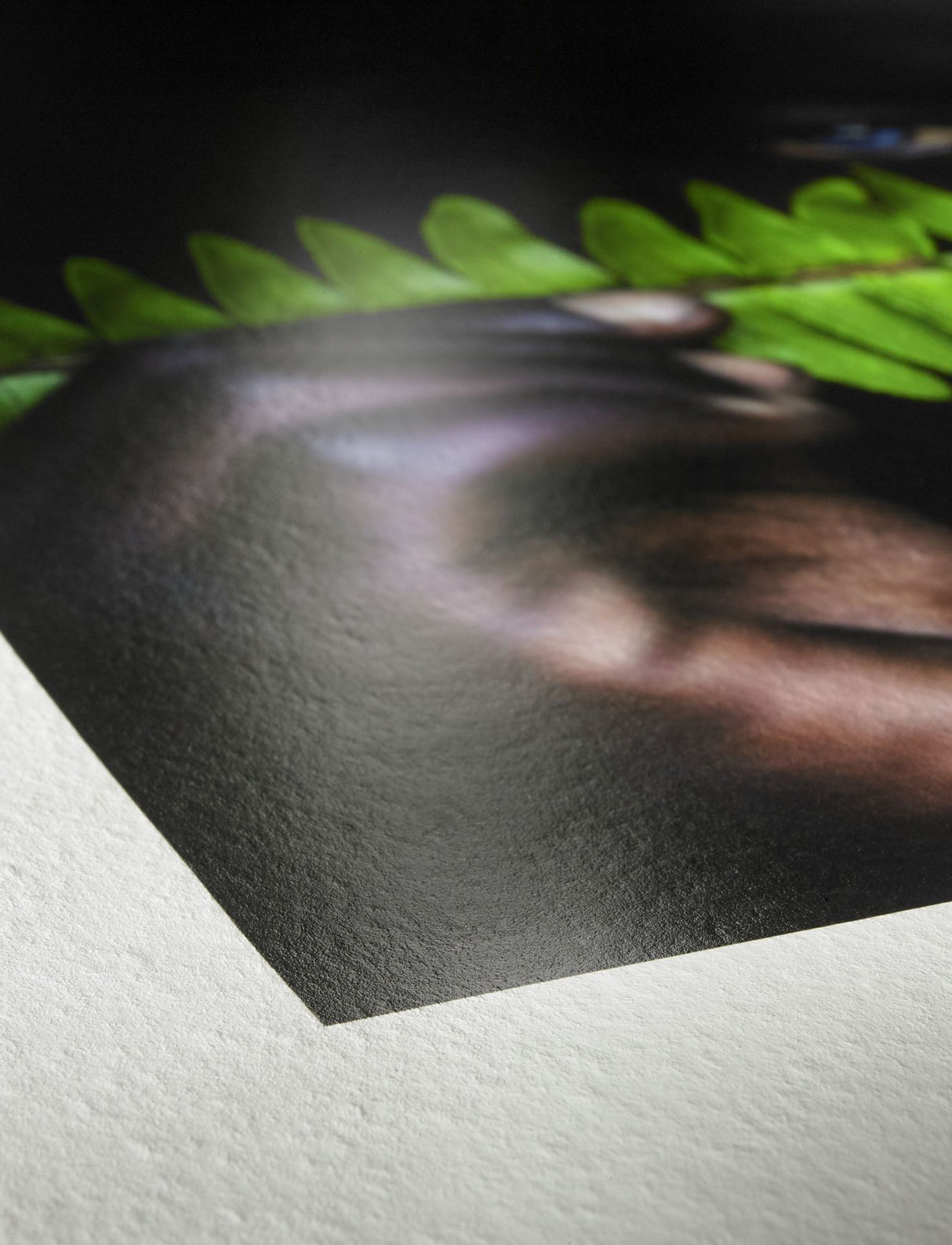 Hahnemühle Photo Rag® Pearl