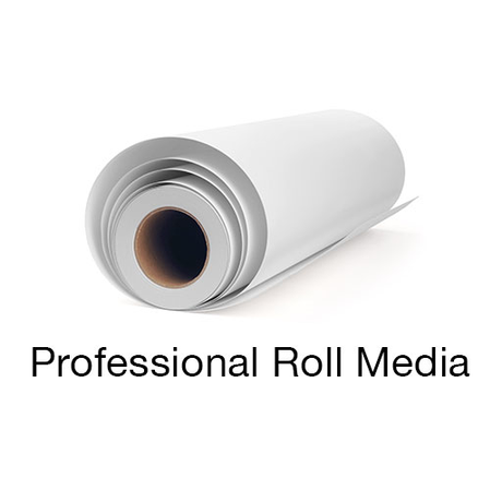 A rolled-up sheet of Epson Legacy Platine Paper with a cardboard core is displayed on a white background. The text below reads, Epson Professional Roll Media.