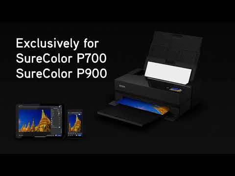 Video shows an overview of Epson SureColor P900 17” Wide Photo Printer 