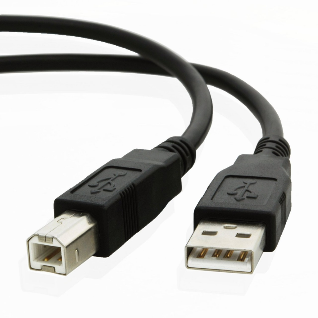USB 2.0  Cable 10'